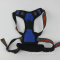 Pet Safety Leash Harness Weste Fahrzeugsicherheitsgurt